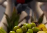 팰월드 1.0 공개된 팰들 모음.gif