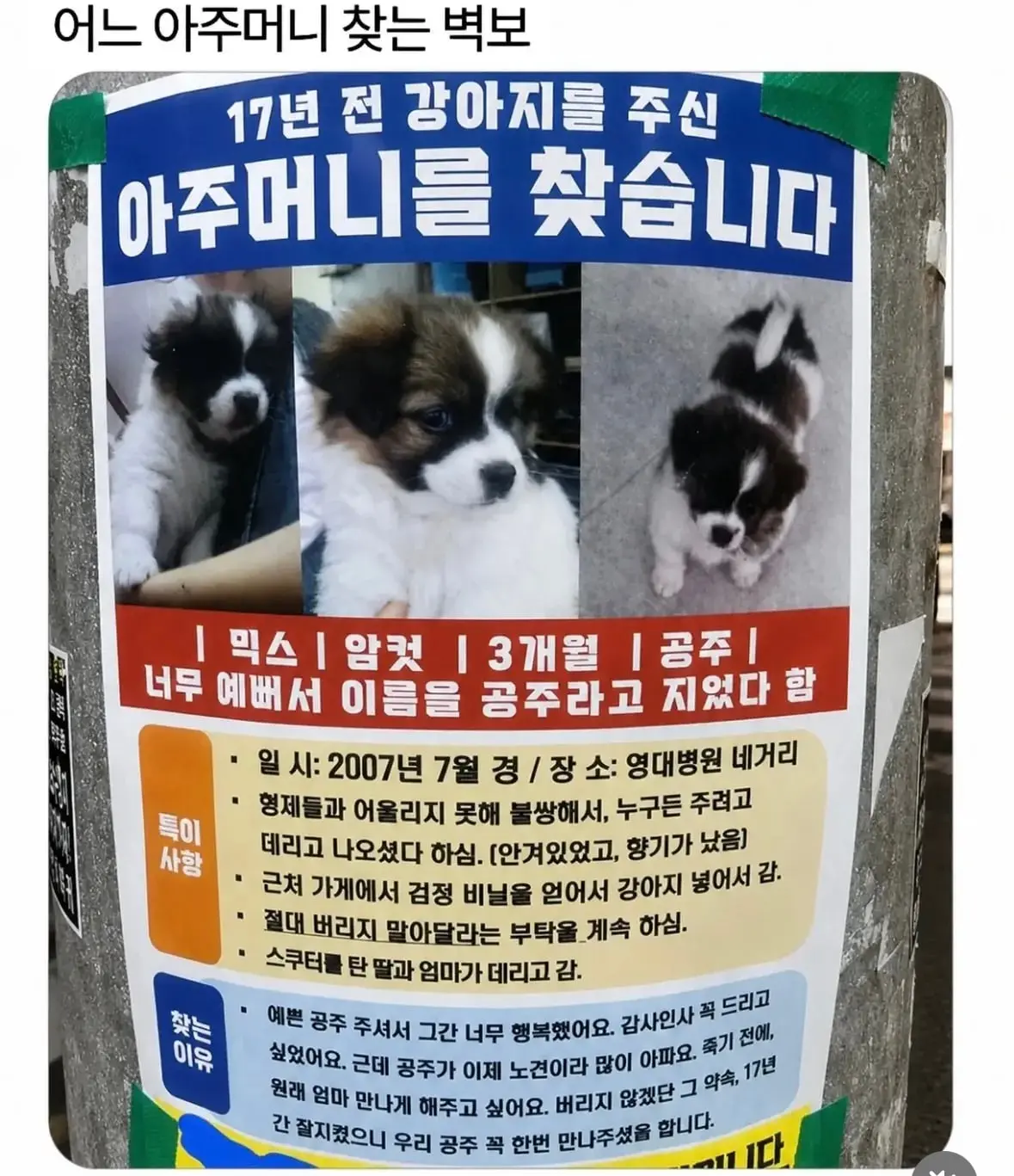 아주머니 찾습니다.jpg