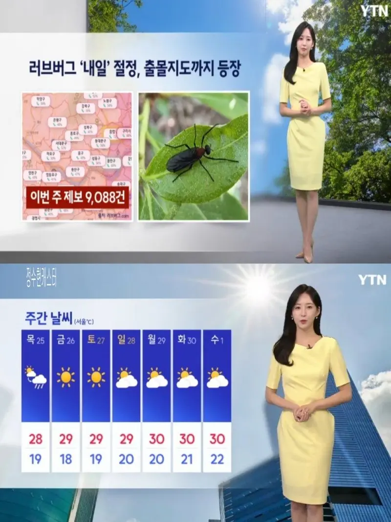저녁08.jpg