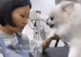 반려동물 미용사가 무조건 이기는 이유