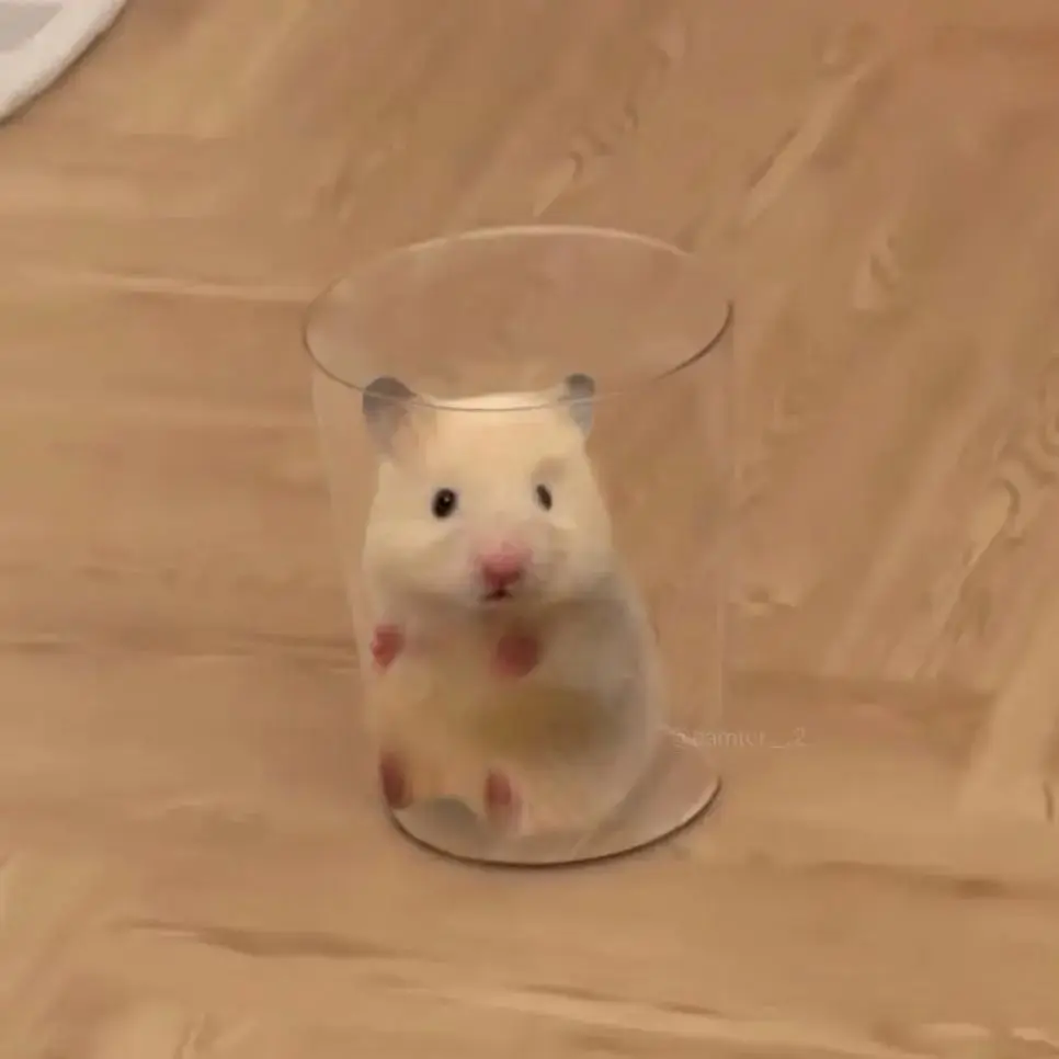 DM_20260624141015_001.jpeg