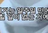 월세 세입자들 ptsd 온다는 마라탕 대참사