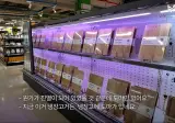 홈플러스 신선식품 /두부 콩나물/ 친환경채소 코너