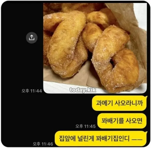 11366.jpg 꽈베기 사왔다 개욕먹었다.jpg