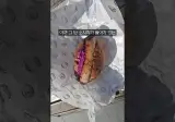 숯불 소시지 빵이 유명한 후쿠오카 다코멧카