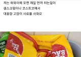 오싹오싹 캣맘이 해외가면 하는것