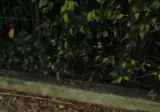 현재 41도 찍었다는 프랑스 파리 근황ㄷㄷㄷ