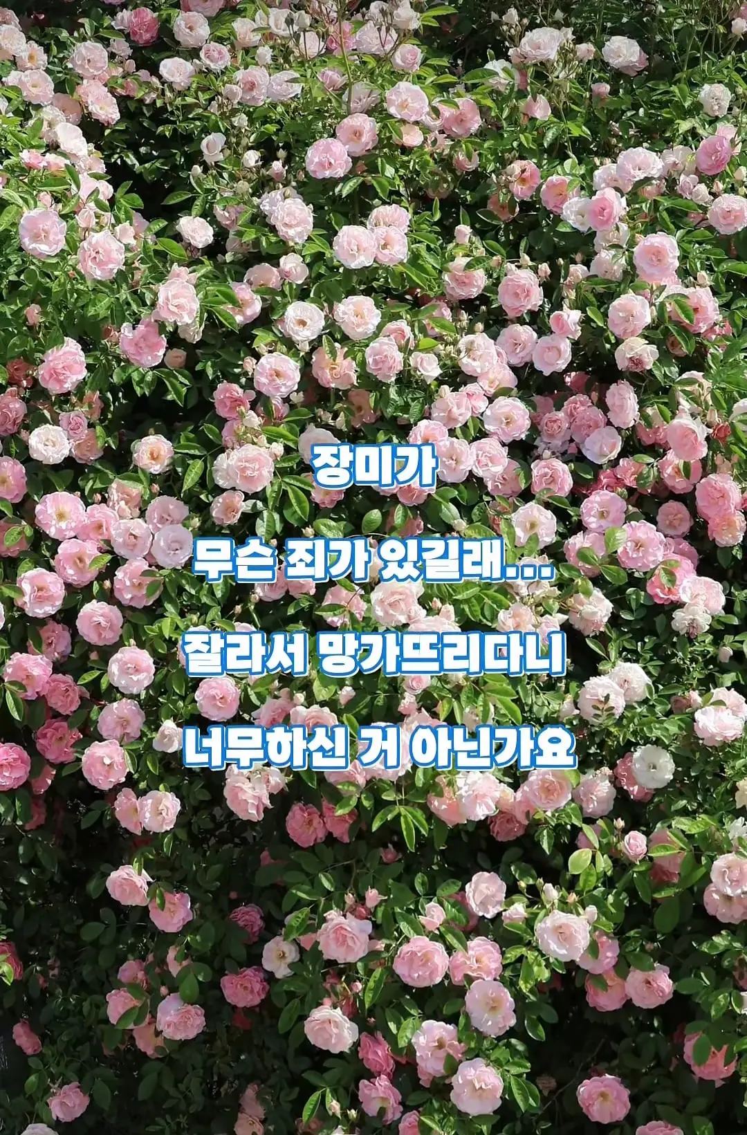 Screenshot_20260625_073725_Instagram.jpg