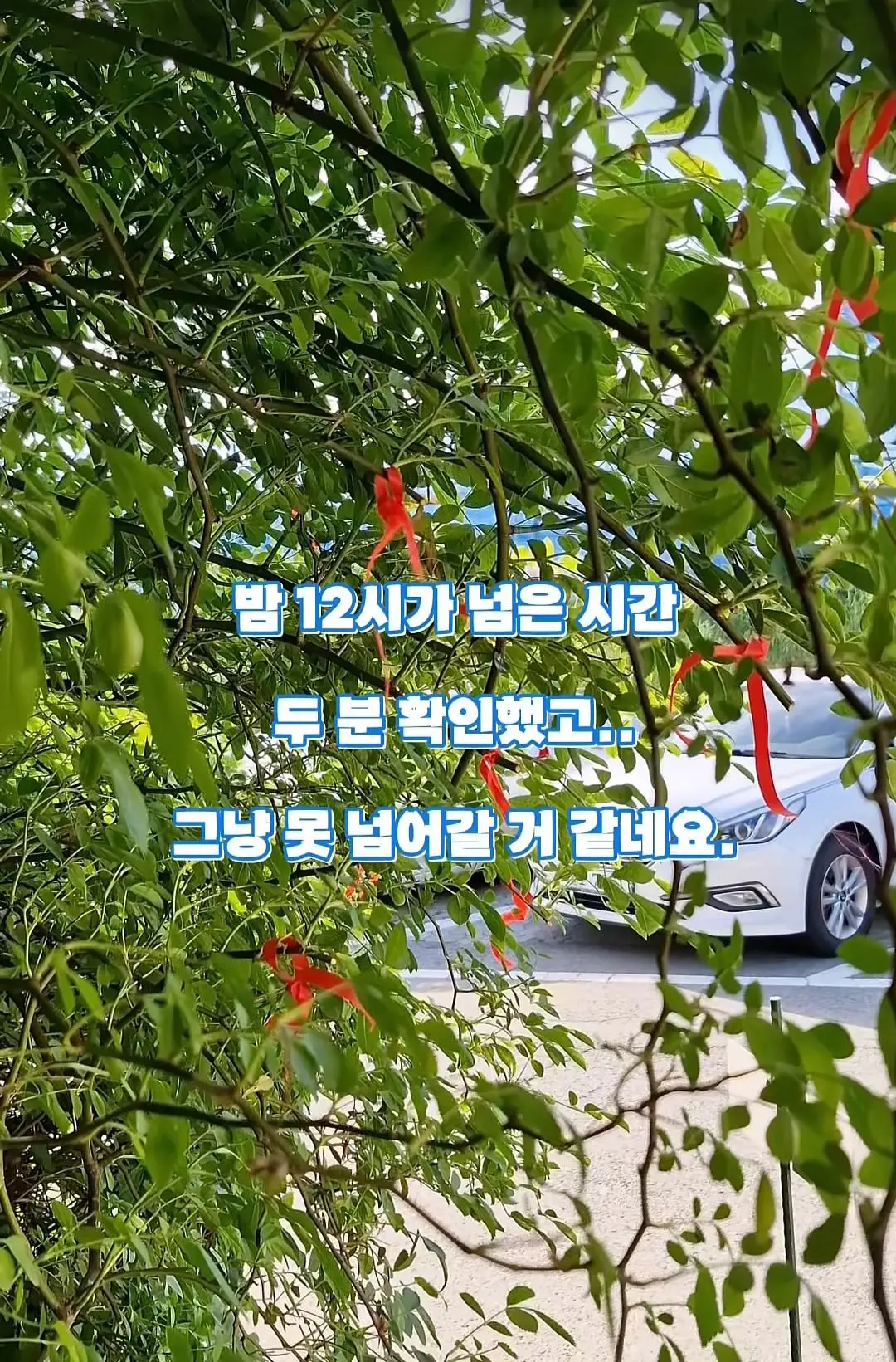 Screenshot_20260625_073807_Instagram.jpg