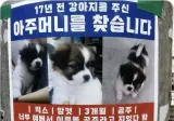 17년전 강아지를 준 아줌마를 찾던 전단지 후기.jpg