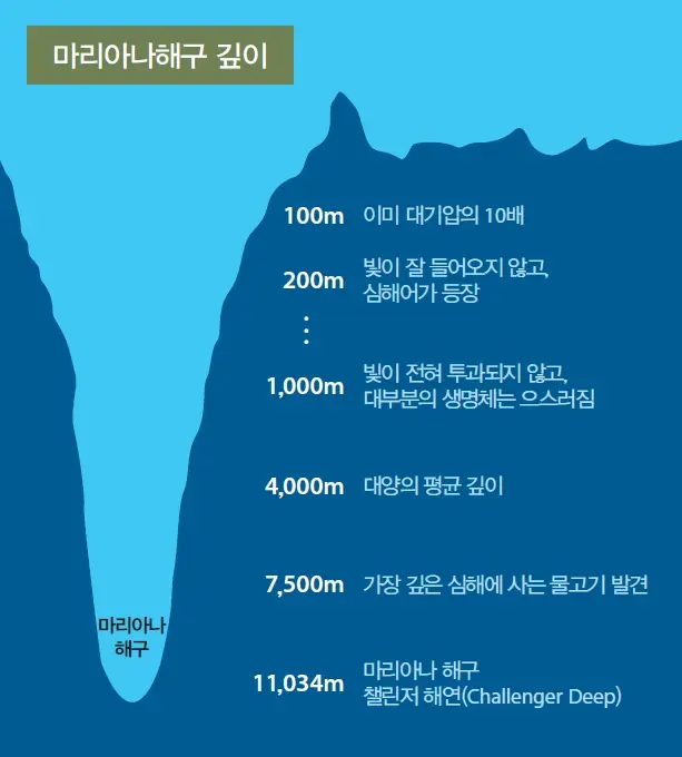다운로드.webp