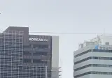 광화문 홍명보 비판 열사님 입갤