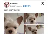 머리가 왤케 멋쟁이됐지.jpg