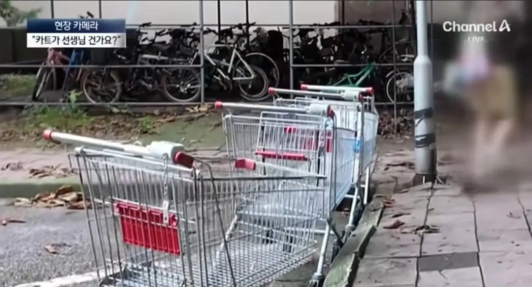위반행위를 존나 당당하게 하고있는것.jpg