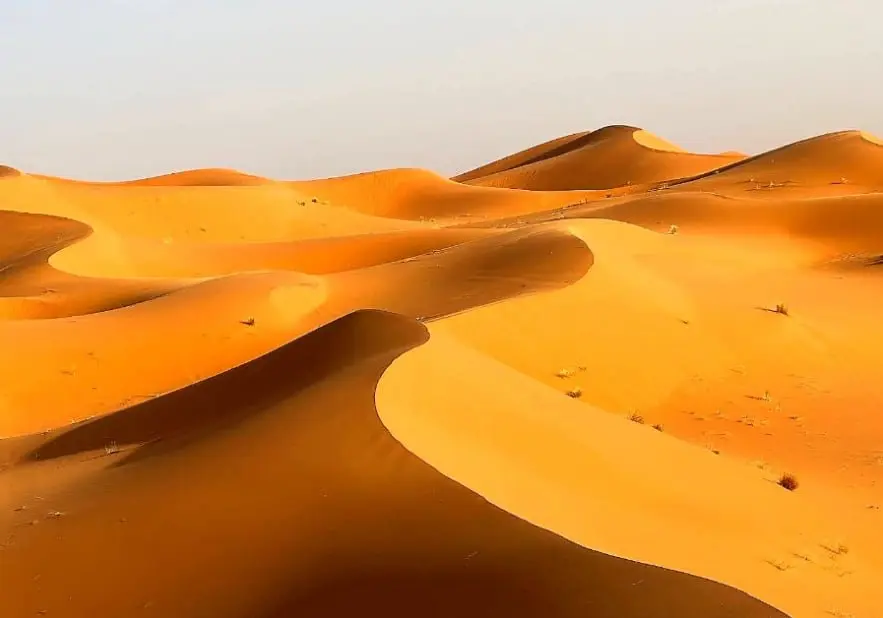 20260626063328_w9a4ALYe1Q.png