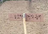 내 땅에 남이 무단으로 농사 지으면 무조건 막아야 하는 이유.jpg