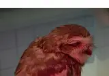 쟤는 아픈거에요?? , 아니요 아빠닮은거에요.