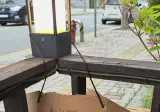 식물을 키우면 마음도 예뻐진다