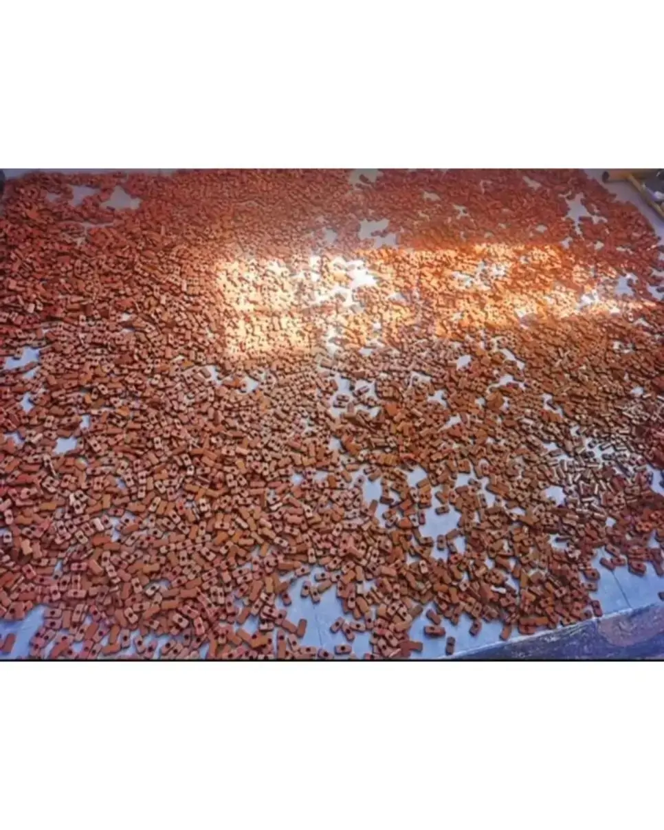 DM_20260626165345_005.jpeg