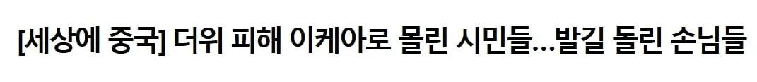 스크린샷_29-6-2026_10537_www.segye.com.jpeg