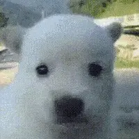 icon_16