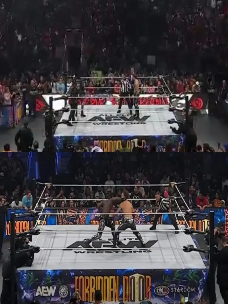 PPV01.jpg