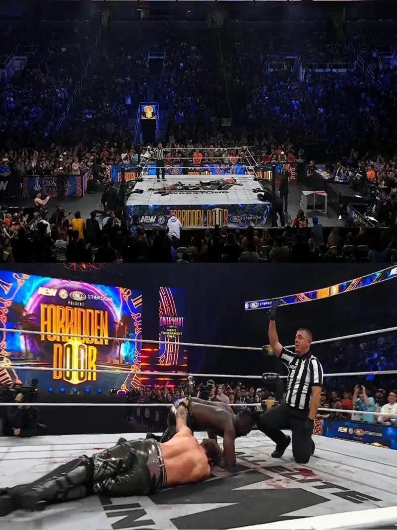 PPV04.jpg