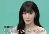 소녀시대 내년 20주년