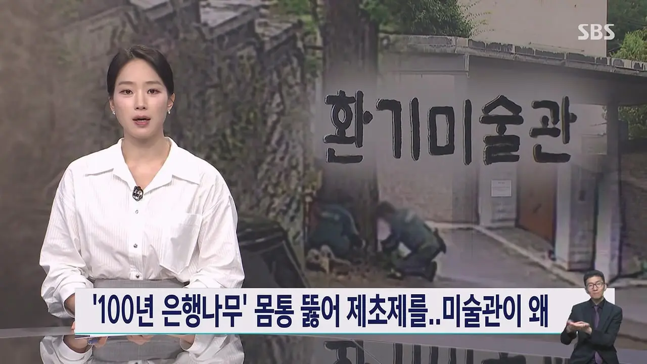 '구멍 뚫고 제초제를' CCTV 찍혔다…범인 충격 정체.mp4_20260629_231206.947.jpg