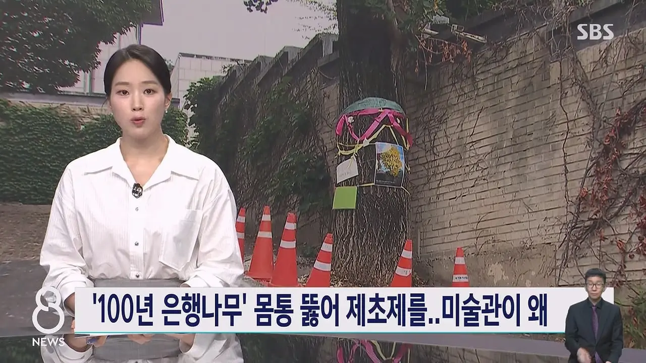 '구멍 뚫고 제초제를' CCTV 찍혔다…범인 충격 정체.mp4_20260629_231203.866.jpg