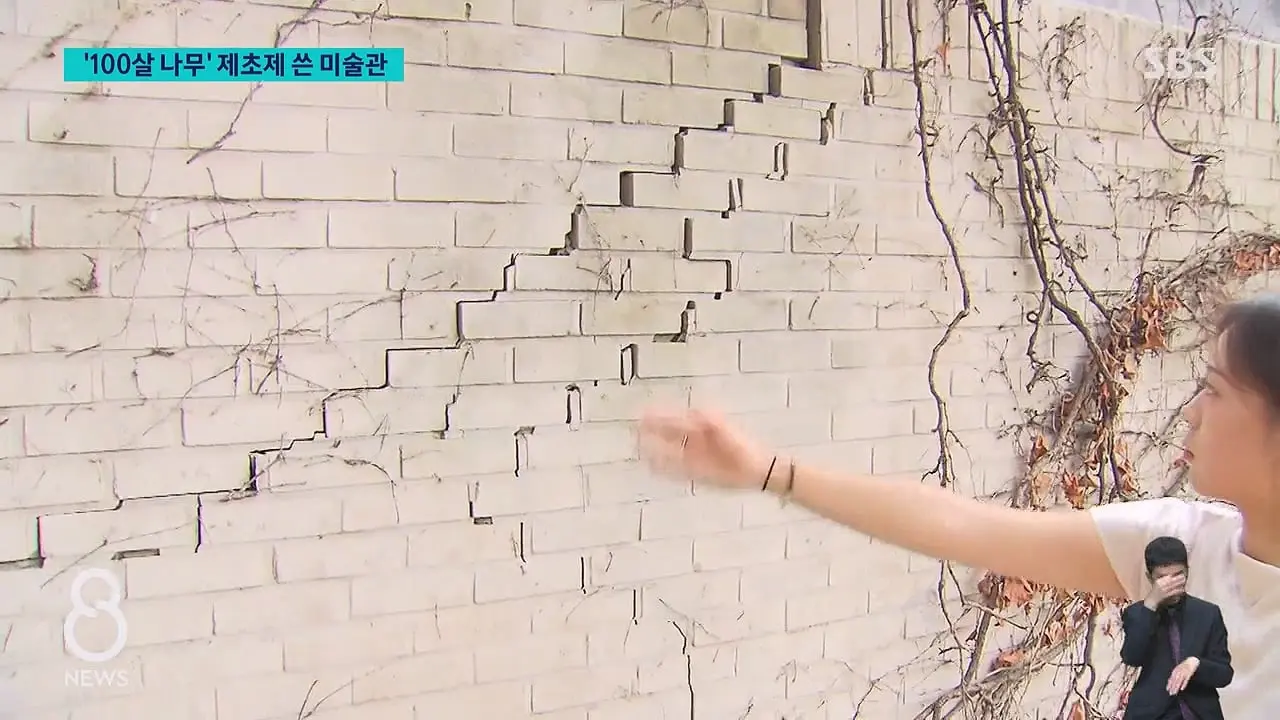 '구멍 뚫고 제초제를' CCTV 찍혔다…범인 충격 정체.mp4_20260629_231320.794.jpg