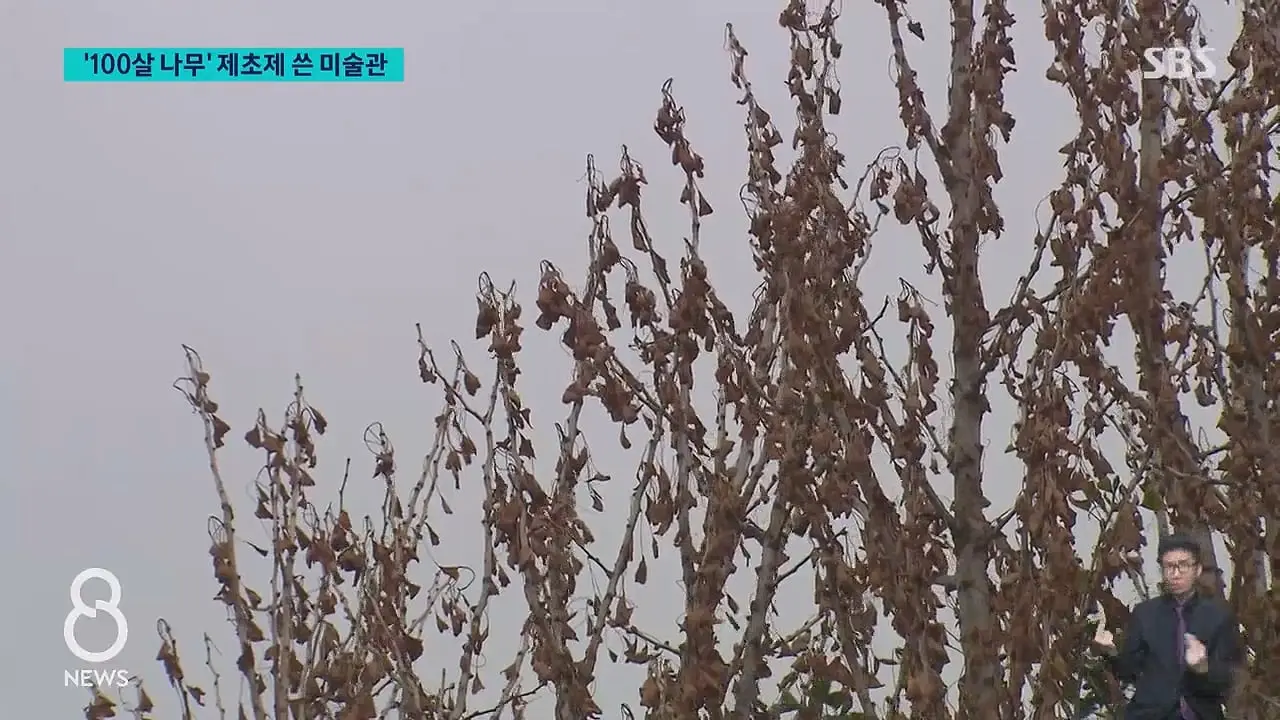 '구멍 뚫고 제초제를' CCTV 찍혔다…범인 충격 정체.mp4_20260629_231214.290.jpg