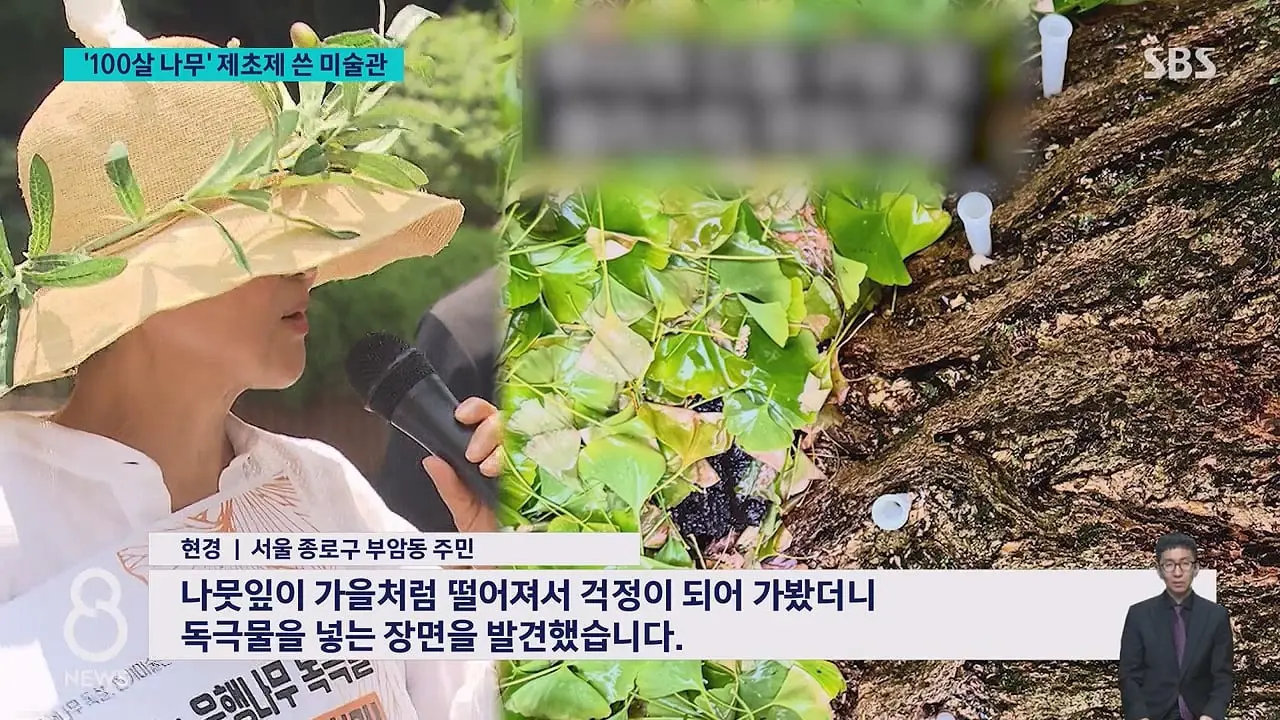 '구멍 뚫고 제초제를' CCTV 찍혔다…범인 충격 정체.mp4_20260629_231246.586.jpg
