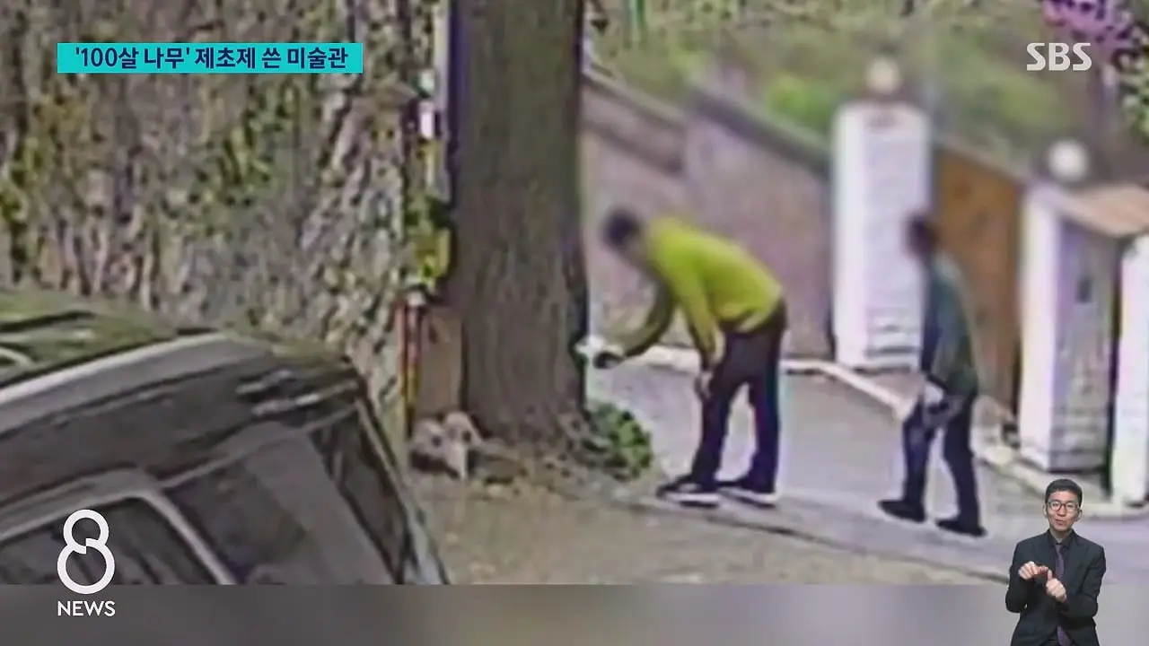 '구멍 뚫고 제초제를' CCTV 찍혔다…범인 충격 정체.mp4_20260629_231239.834.jpg