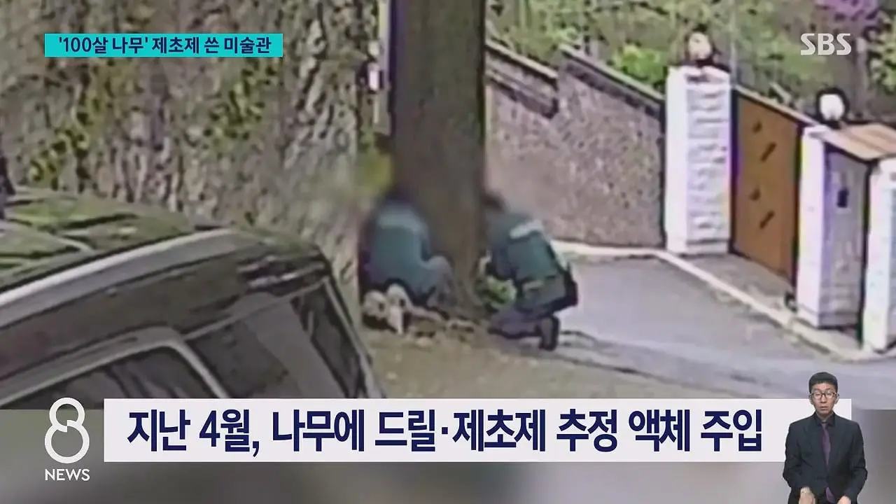 '구멍 뚫고 제초제를' CCTV 찍혔다…범인 충격 정체.mp4_20260629_231226.906.jpg