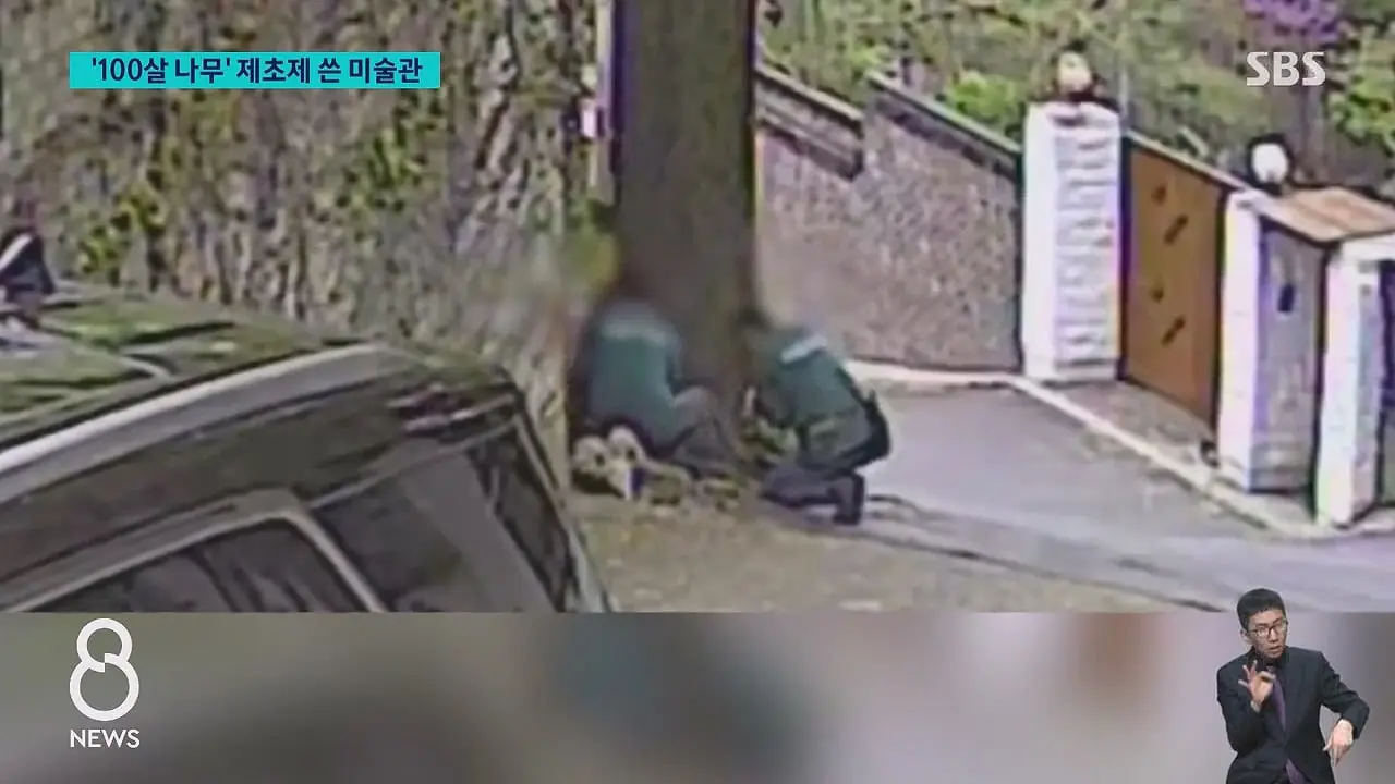 '구멍 뚫고 제초제를' CCTV 찍혔다…범인 충격 정체.mp4_20260629_231224.346.jpg