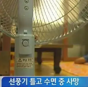 Internet_20260630_061018_6.webp.jpg