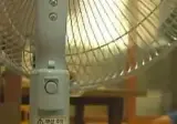 세계가 놀란 K-미신