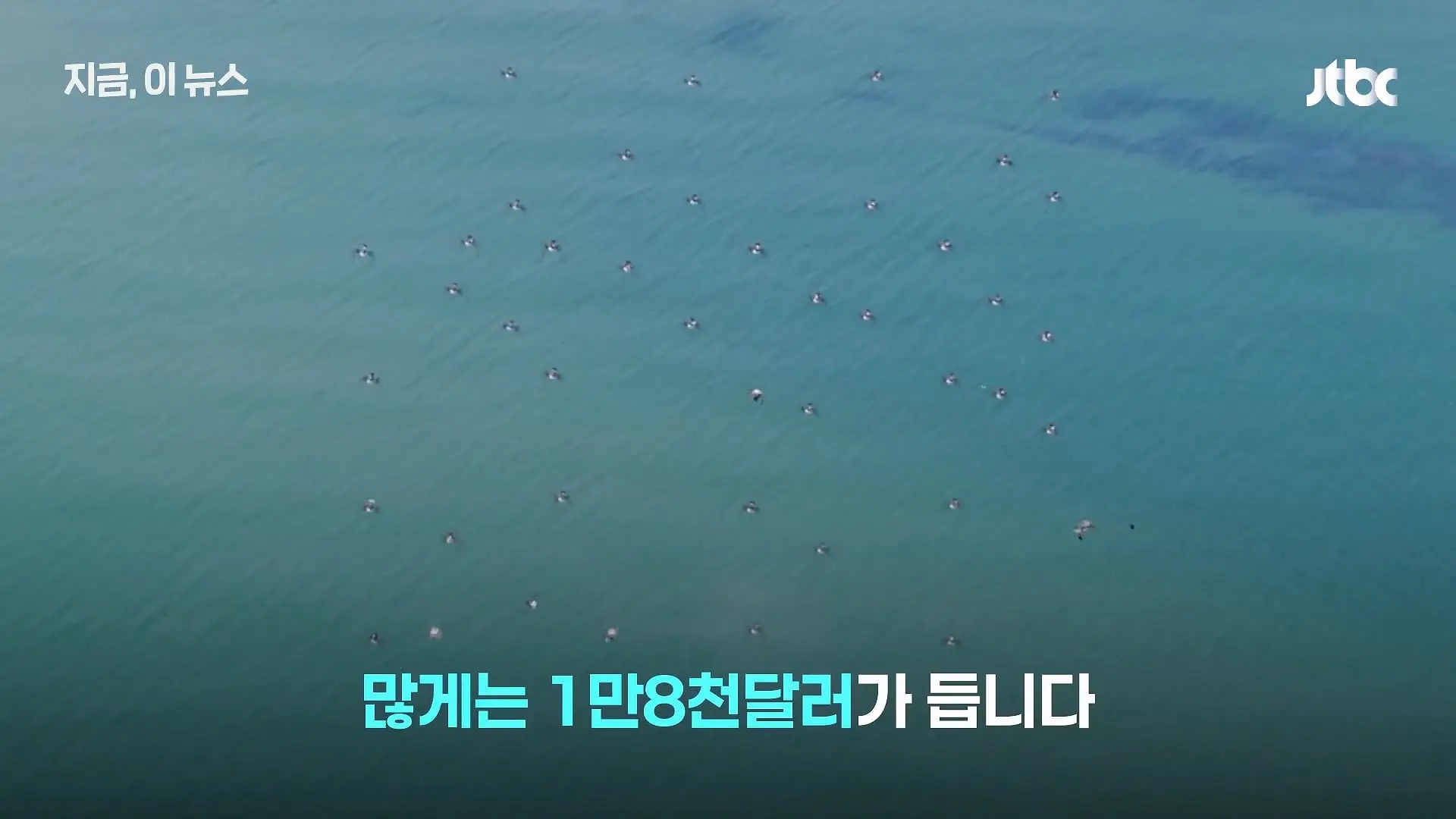 한국군, 쇼 하고 있다_.'드론 훈련' 비판한 우크라 매체, 왜_｜지금 이 뉴스_20260630_125024.670.jpg