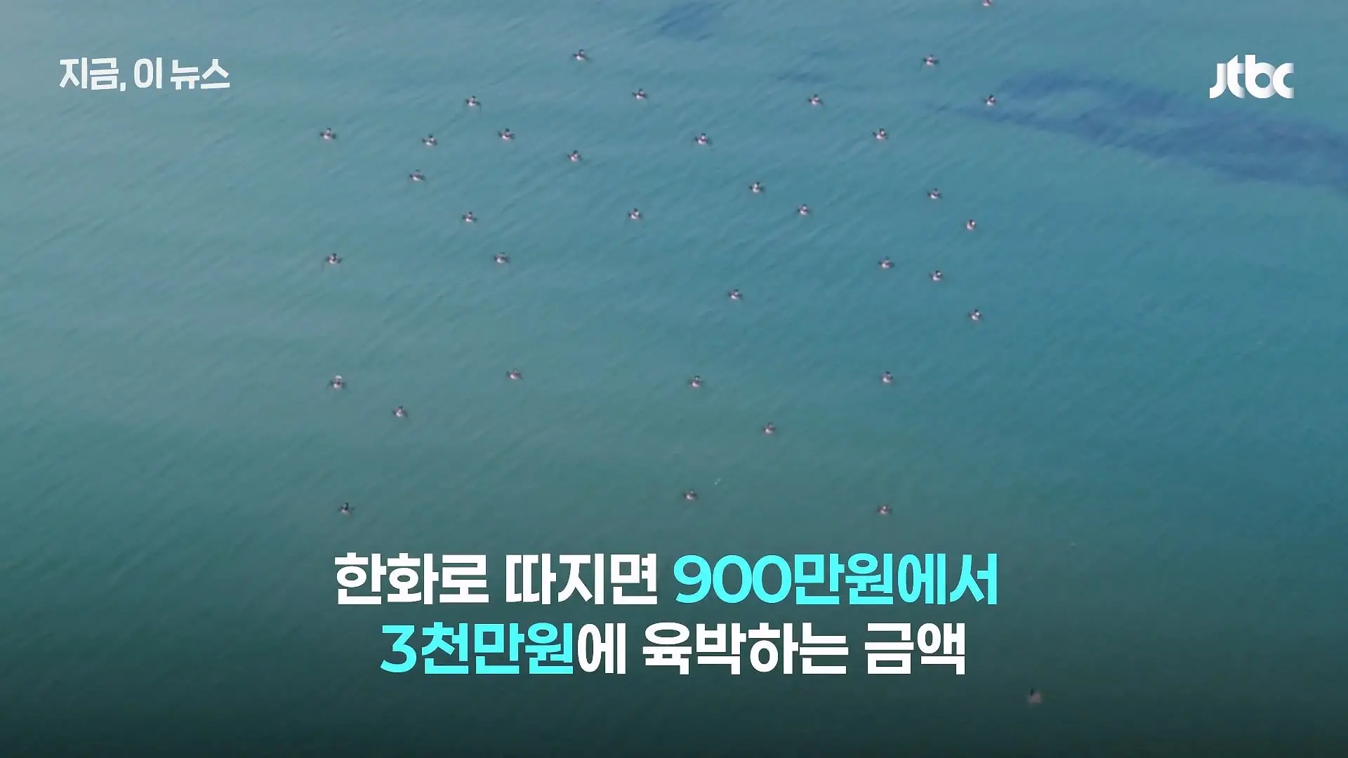 한국군, 쇼 하고 있다_.'드론 훈련' 비판한 우크라 매체, 왜_｜지금 이 뉴스_20260630_125028.454.jpg