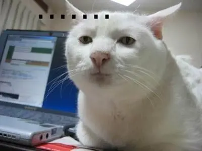 20260630171452_RjB1PJW0c6.png