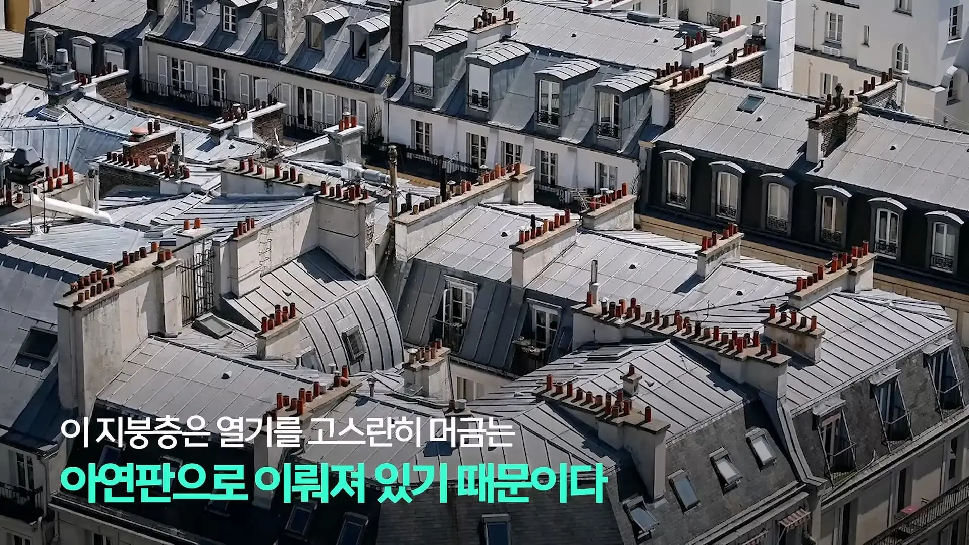 파리, 6월인데 46도_ 진짜 여름엔 어쩌라고…_20260630_222137.577.jpg