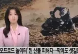 산불피해지에서 민폐짓하는 오프로드 동호회