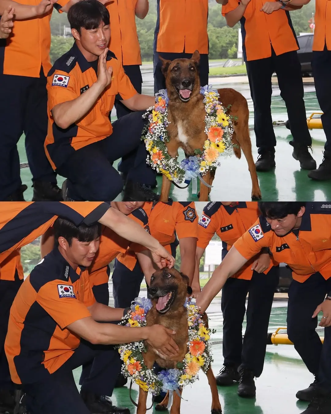 충성아, 그동안 정말 수고했어!🥹 오늘(1일) 7년 동안 전국 주요 수색 현장에서 활약한 119 구조견 ‘충성’의 은퇴식이 열렸습니다. 부산소방재난본부는 이날 오후 부산 -5.jpg
