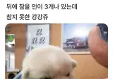 뒤에 참을 인이 3개나 있는데.jpg
