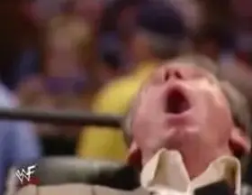 13.webp