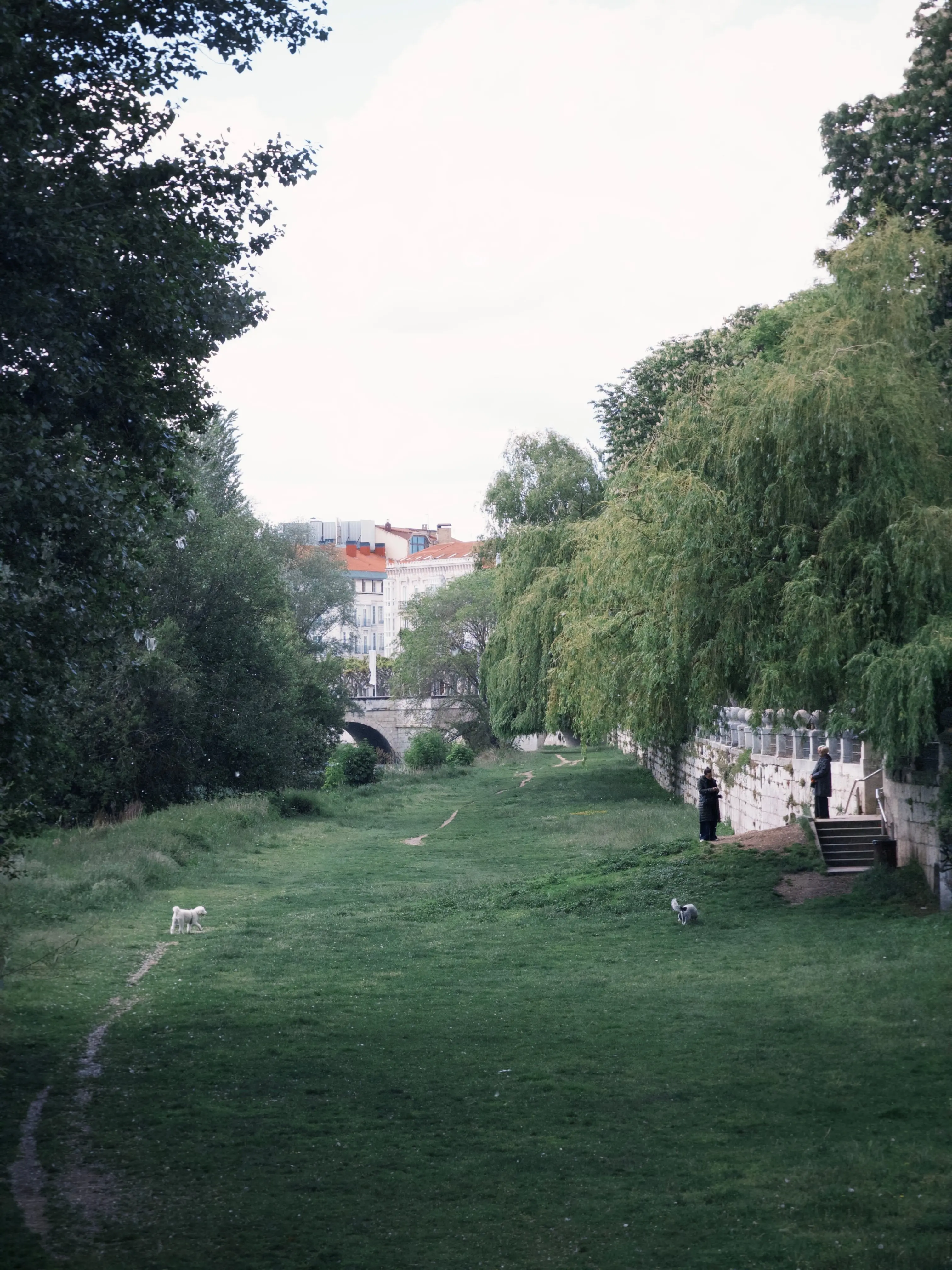 IMG_5152.jpeg
