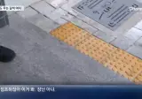 사람도 문다... 갈색 여치의 습격