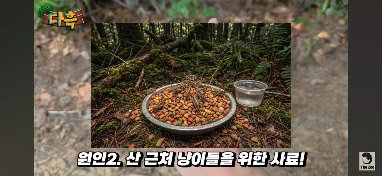1000027029.jpg 포텐간 갈색여치 주 먹이가된 캣맘사료 ㄷㄷ