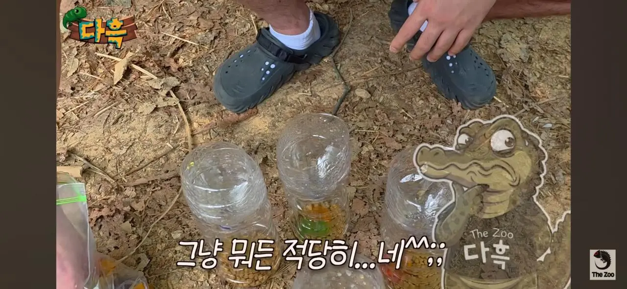 1000027051.jpg 포텐간 갈색여치 주 먹이가된 캣맘사료 ㄷㄷ